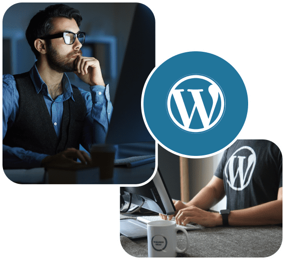 Wordpress Developer
